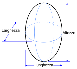 Ellissoide verticale